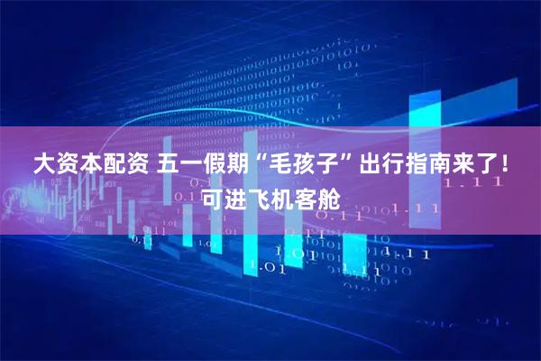 大资本配资 五一假期“毛孩子”出行指南来了！可进飞机客舱